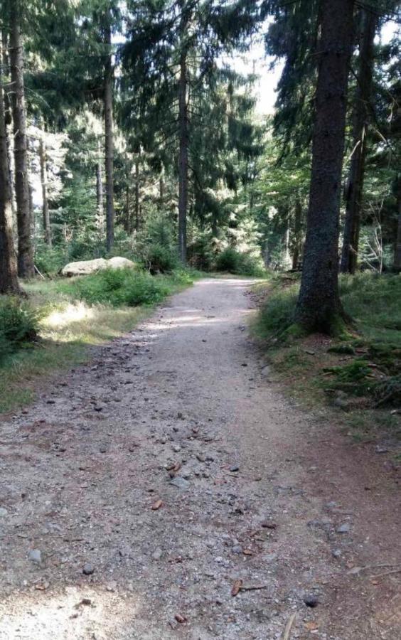 Bergerlebnis Natur pur Sankt Englmar Exterior foto